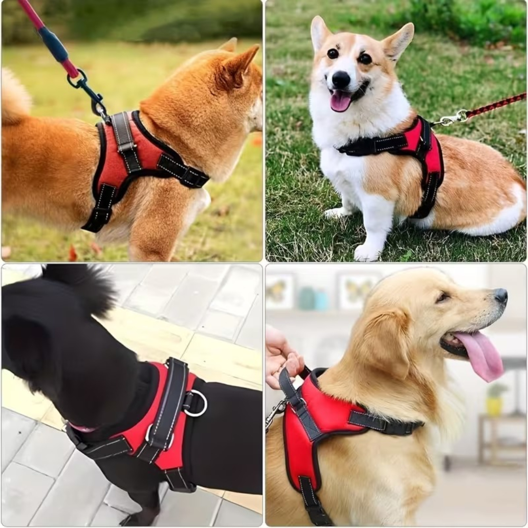 Adjustable Dog Harness With Handle And Reflective DesignAdjustable Dog Harness With Handle And Reflective Design - Image 11