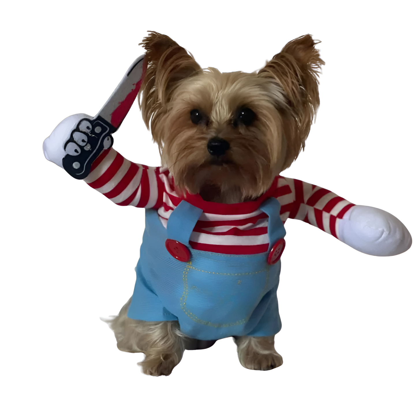 Yorkie Halloween Dog Costume
