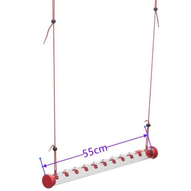 Colorful Bird Hanging Feeder for Wild Birds with Foldable Cage Accessories for Mental Stimulation — in use