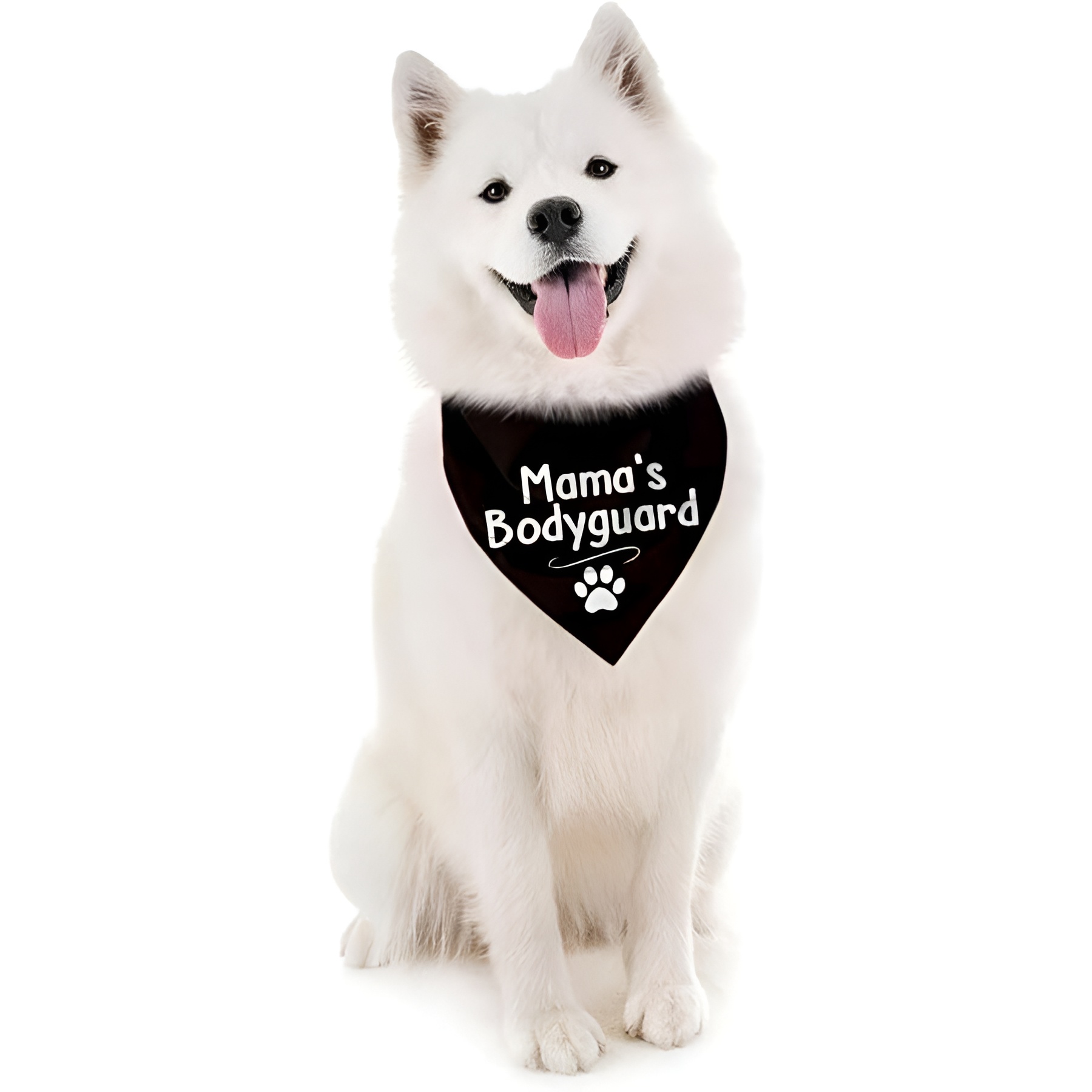  Medium Dog Triangular Scarf