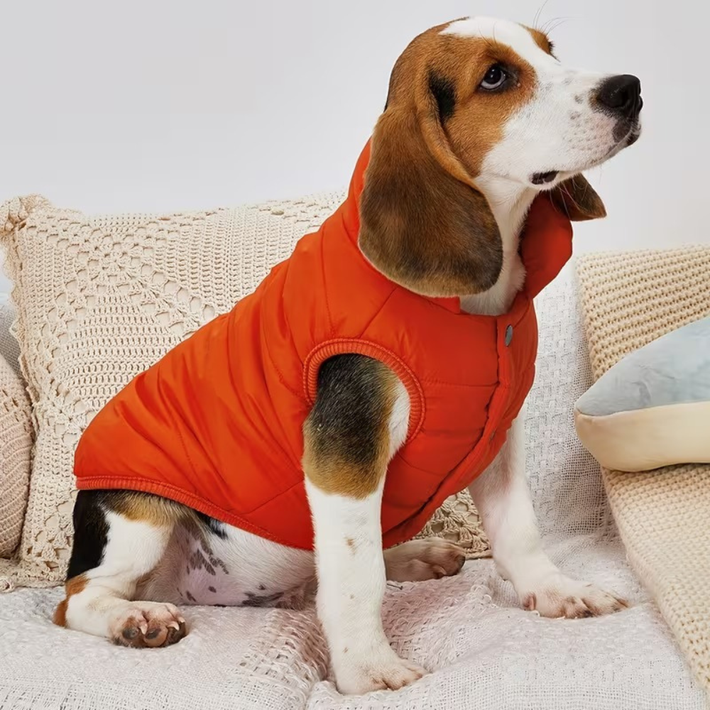 Adjustable Warm Coat With Thick Pad For DogsAdjustable Warm Coat With Thick Pad For Dogs - Image 5