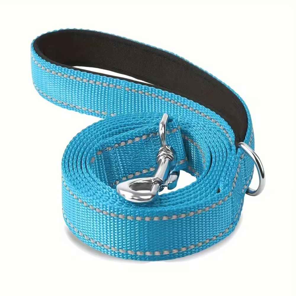 Reflective Neoprene Dog Leash With Padding