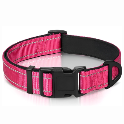 Neoprene Padded Nylon Reflective Dog Collar