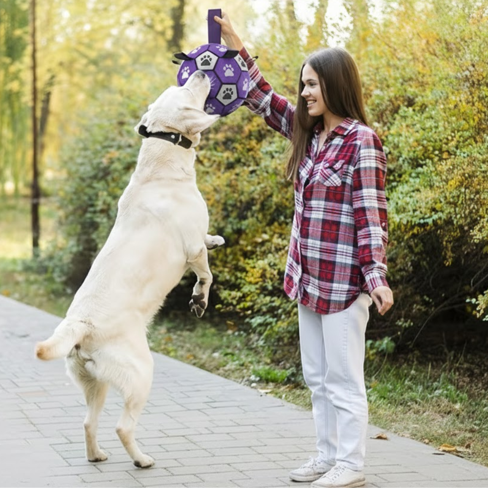 Chew Resistant Rubber Dog Ball With Paw Print DesignChew Resistant Rubber Dog Ball With Paw Print Design - Image 5