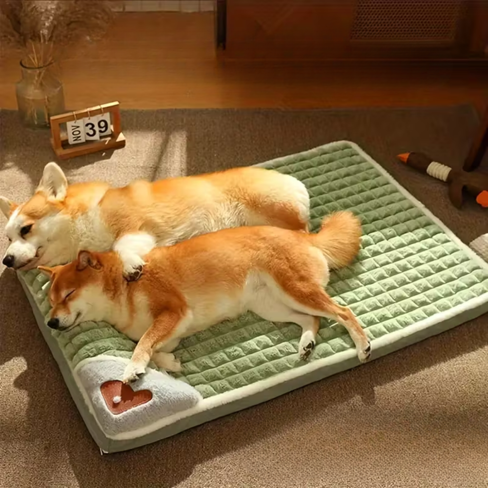 Four Seasons Dog Bed Mat with Removable Washable Winter Pad