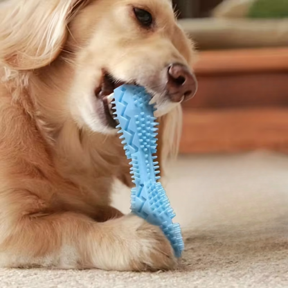 Interactive Dog Toothbrush Toy For Cleaning And Chewing