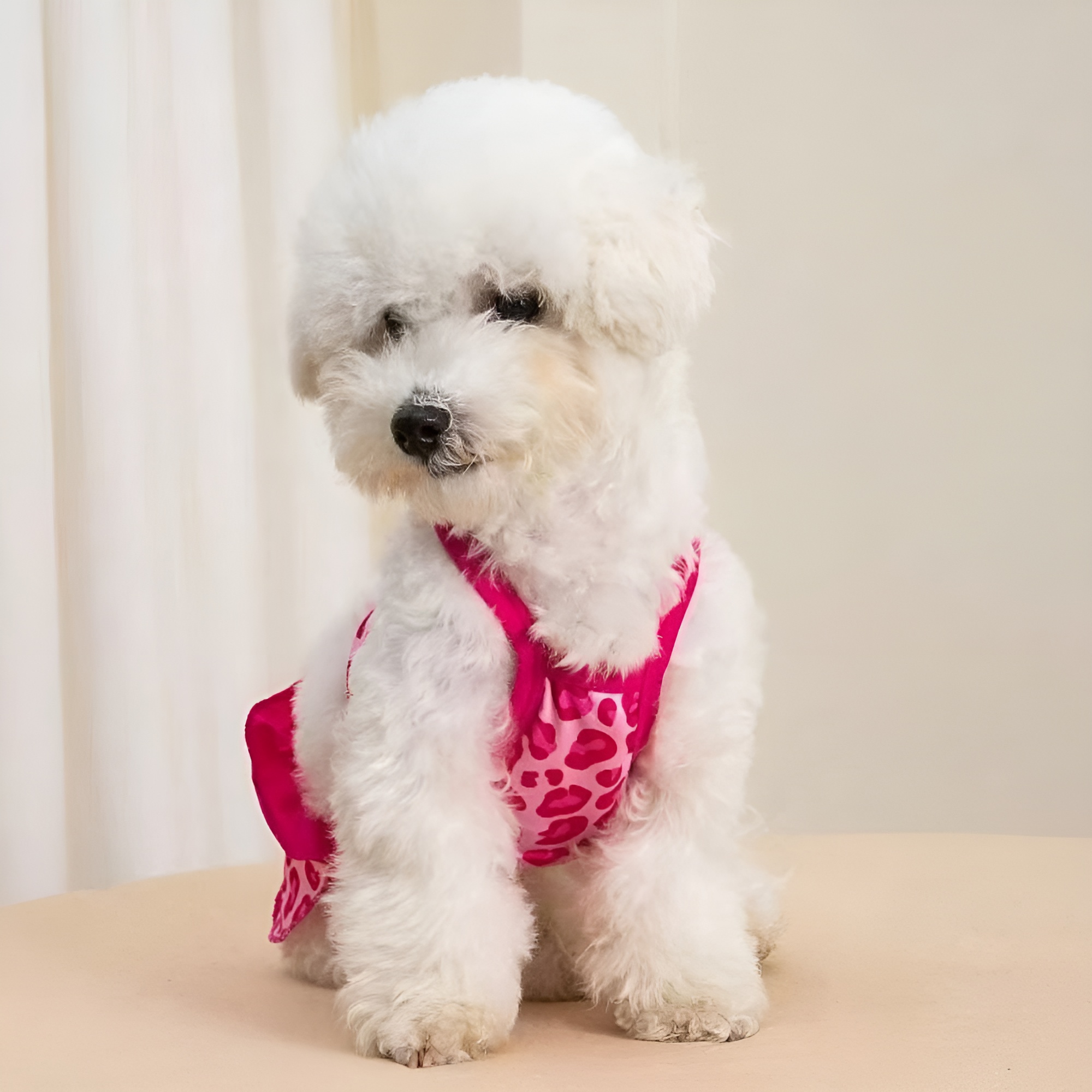 Spaghetti Strap Pet Dress With Ruffle Skirt For Dogs Summer Beach Outfit