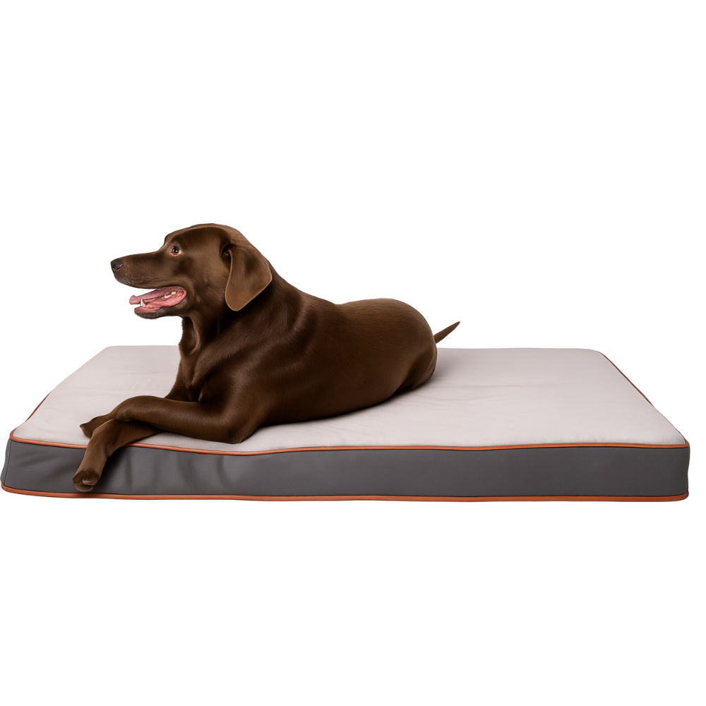 Orthopedic Waterproof Dog Bed With Washable CoverWaterproof Dog Bed With Washable Cover - Image 4