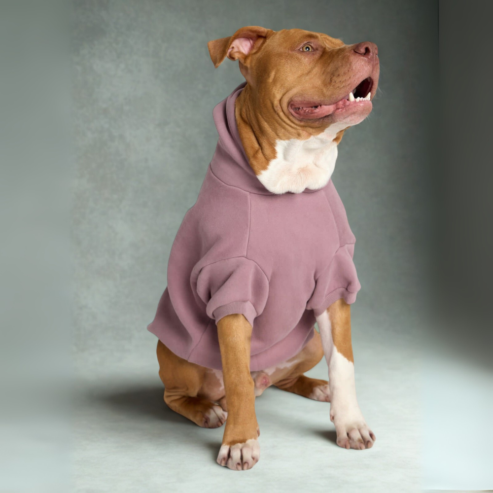 Cozy Hoodie for DogsCozy Hoodie For Dogs - Image 5