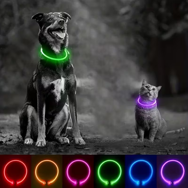 Glow In The Dark Dog Collar With Rechargeable USB PowerGlow In The Dark Dog Collar With Rechargeable USB Power - Image 6