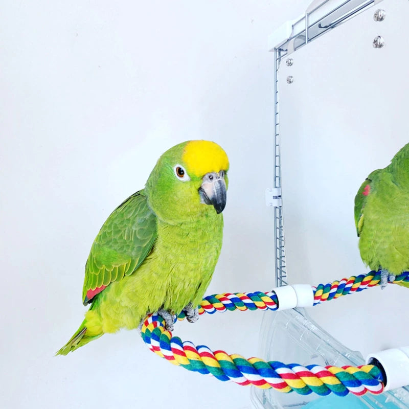 Stainless Steel Bird Swing Toy for Parrots Cockatiels and Budgies with Lightweight — in use