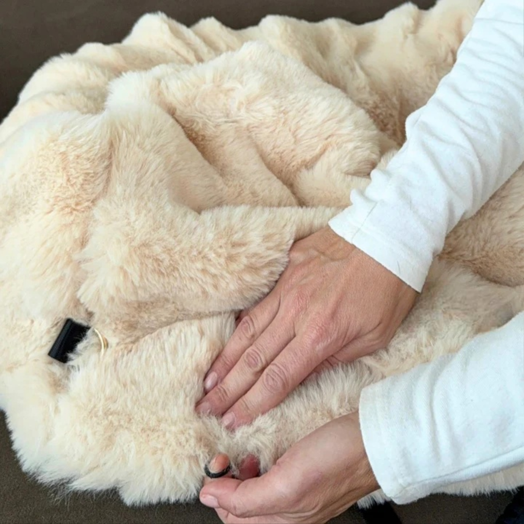 Luxurious Cozy Car Bed for PetsLuxurious Cozy Car Bed For Pets - Image 2