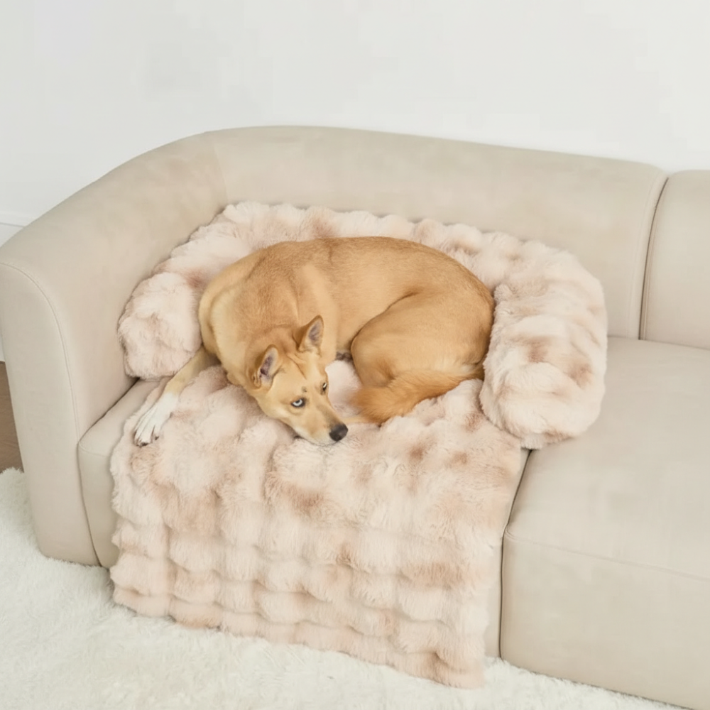  Dream Cloud Pet Sofa Bed