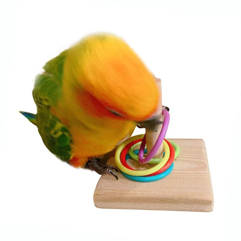 Wood Bird Swing Toy for Parrots Cockatiels and Budgies with Non-toxic Cage Accessories for Mental Stimulation — in use