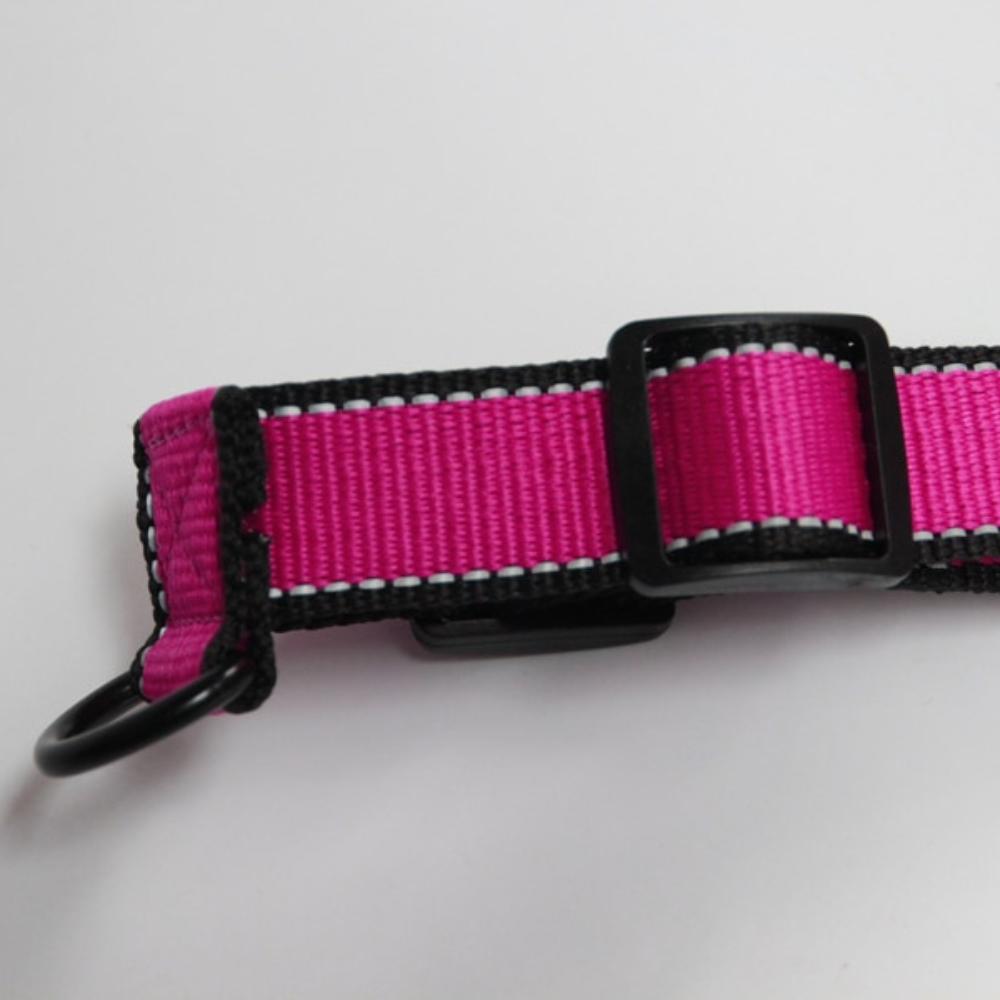 Nylon Dog HarnessNylon Dog Harness - Image 2