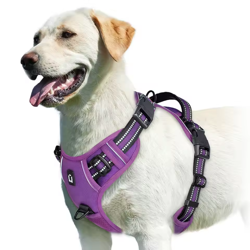 Reflective No Pull Dog Harness With Handle For Easy WalkingReflective No Pull Dog Harness With Handle For Easy Walking - Image 8