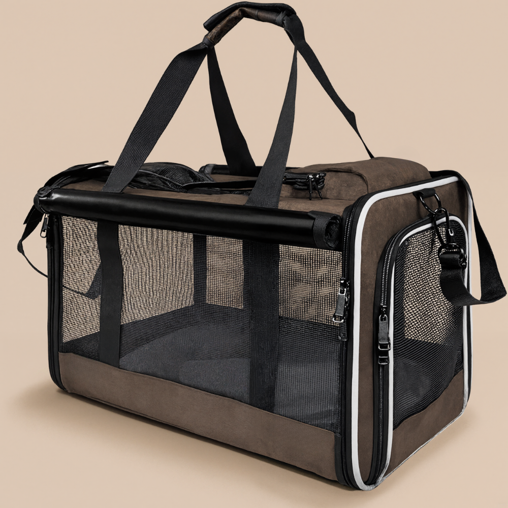 Cat Carriers for Large Cats