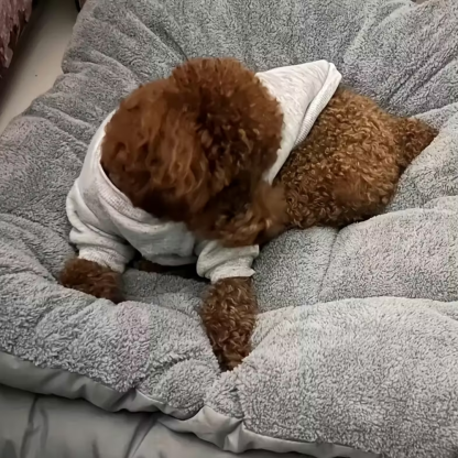 Plush Rectangular Pet Bed Sofa For Dogs