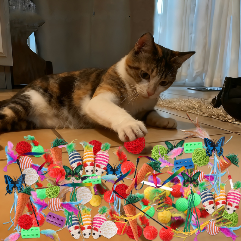 Mixed Cat Toy Set For Daily Interactive Play Fun