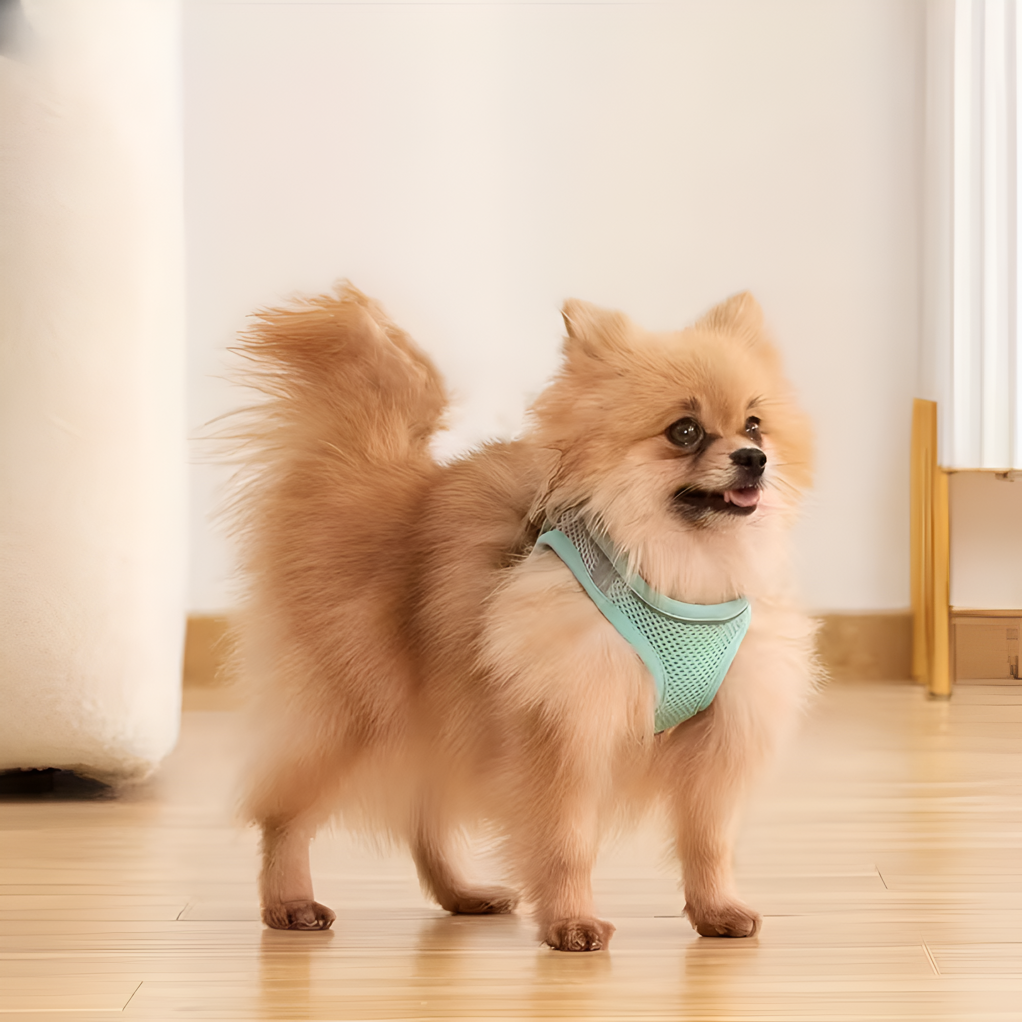 [Copy]Rectangular Pet Floor Mat With Cushioned Support And Paw Print PatternAdjustable Dog Harness With No Pull Design - Image 5