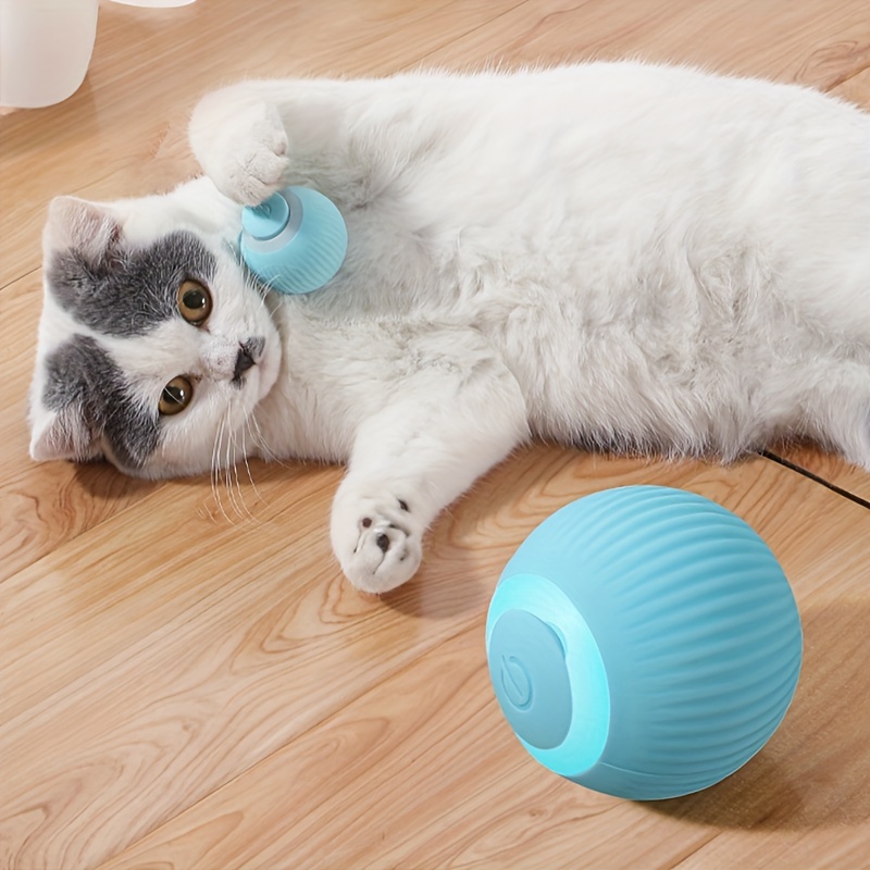 Cat Automatic Rolling Ball