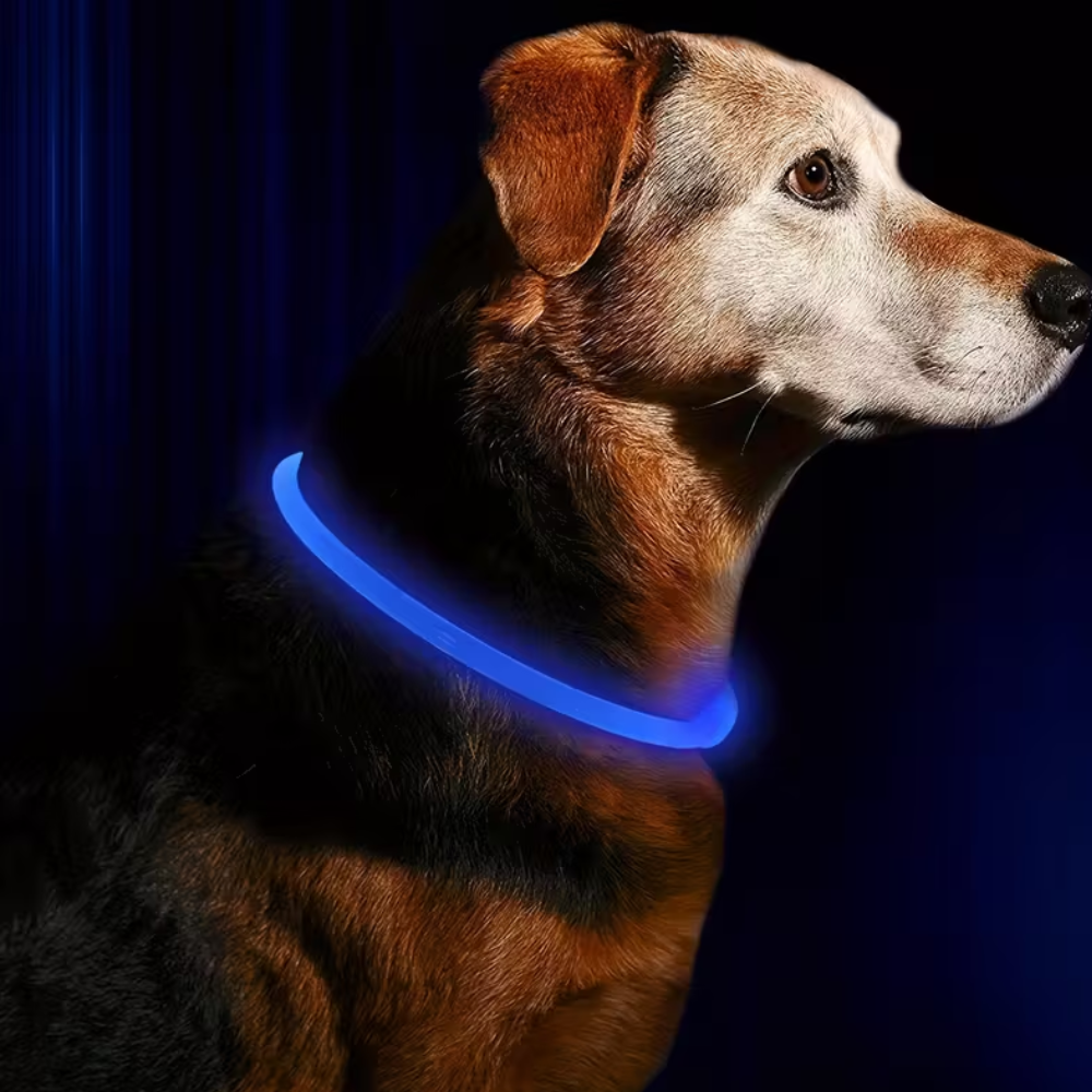 USB Rechargeable LED Light Dog Collar Anti-Lost Luminous SafetyLuminous Dog Collar With ABS Material And LED Lighting - Image 4