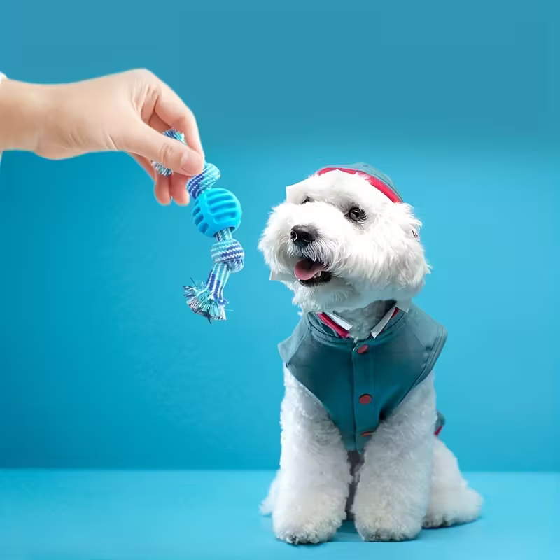 Interactive Dog Chew Toy For Active Play