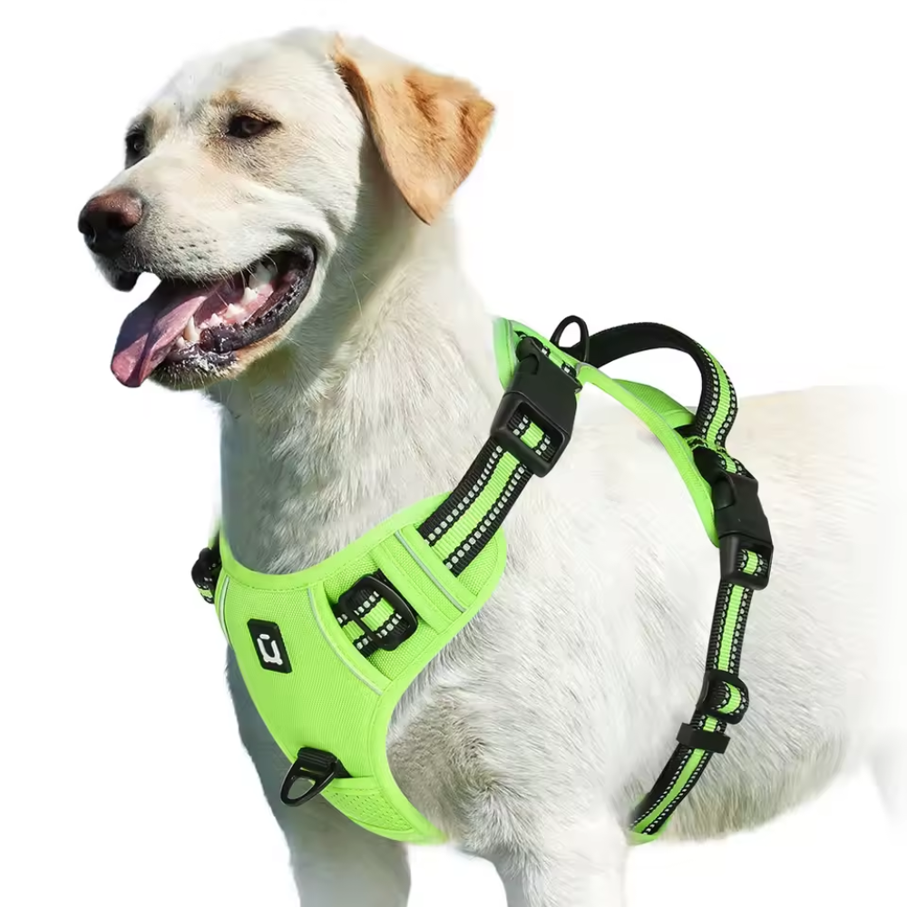 Reflective No Pull Dog Harness With Handle For Easy WalkingReflective No Pull Dog Harness With Handle For Easy Walking - Image 7