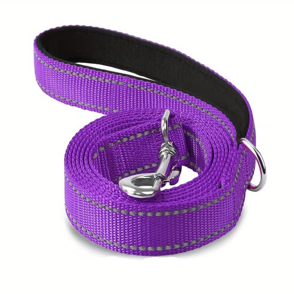 Reflective Neoprene Dog Leash With PaddingReflective Neoprene Dog Leash With Padding - Image 6