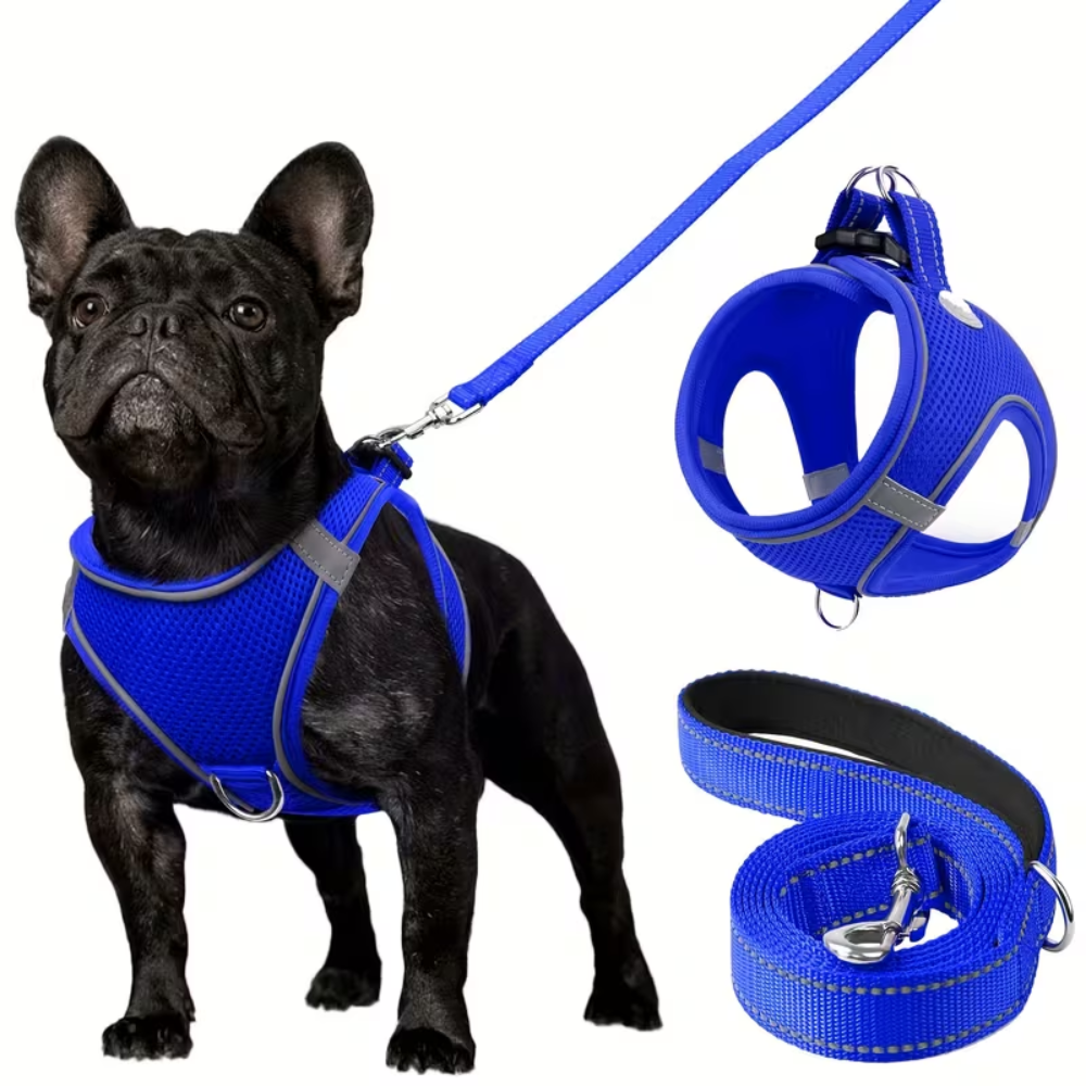 Adjustable Dog Harness With Leash Set And Reflective TrimAdjustable Dog Harness With Leash Set - Image 14