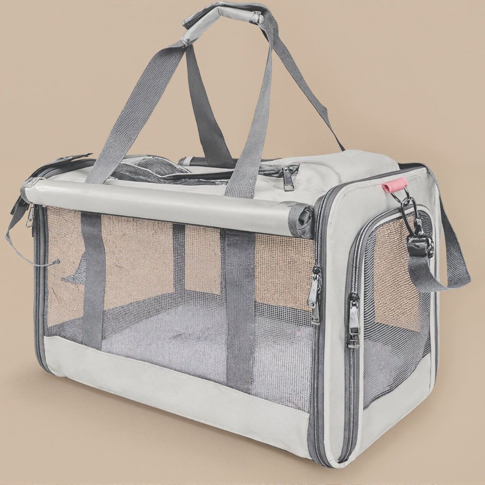 Cat Carriers for Large Cats