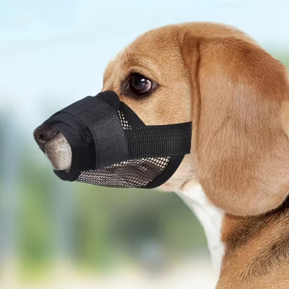 Dog Mouth Cover With Adjustable Straps