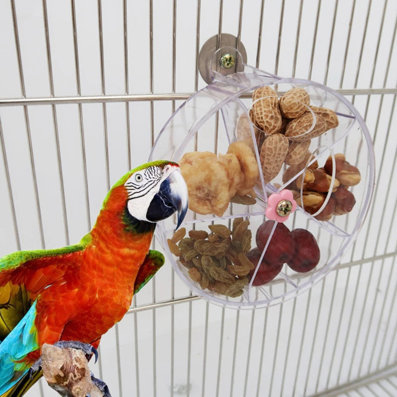 Colorful Bird Hanging Feeder for Wild Birds with Durable Cage Accessories for Mental Stimulation — size comparison
