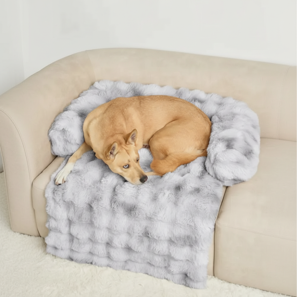  Dream Cloud Pet Sofa Bed