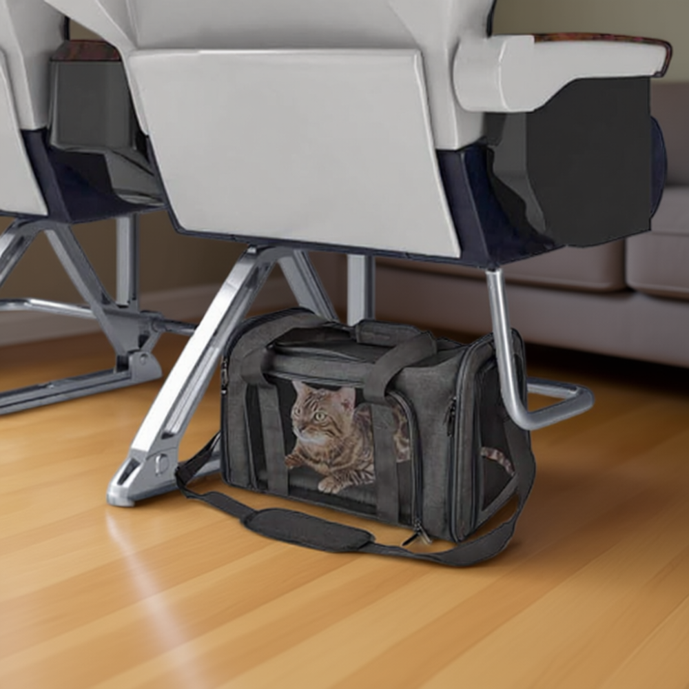 Pet Carrier for Small Medium Cats DogsPet Carrier For Small Medium Cats Dogs - Image 8