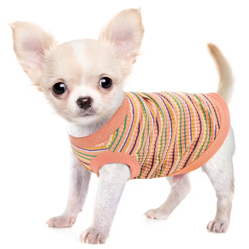 Paiaite Soft Ribbed Dog Vest