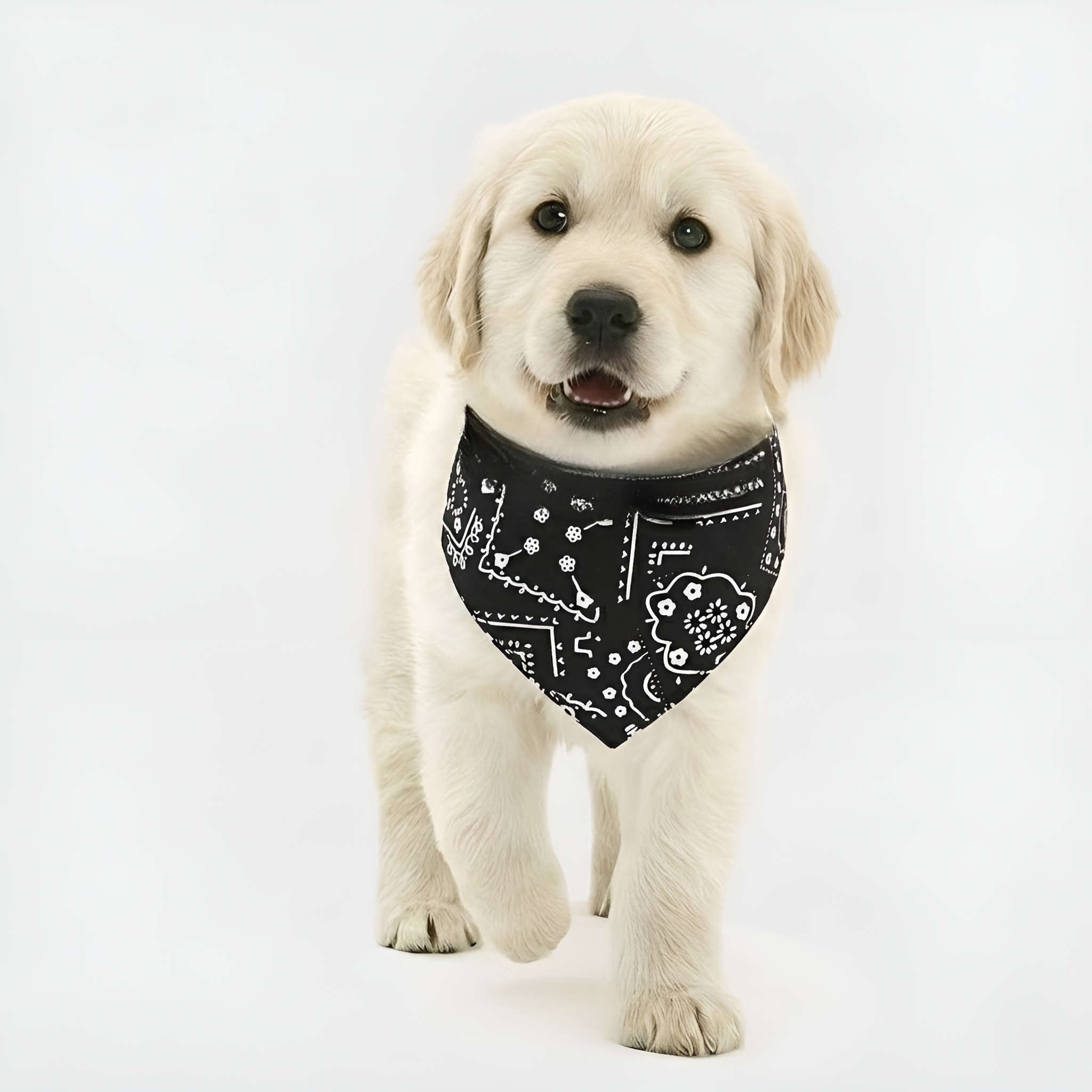 Adjustable Printed Triangle Pet Bandana Bib With Leash Hook For Dogs And Cats