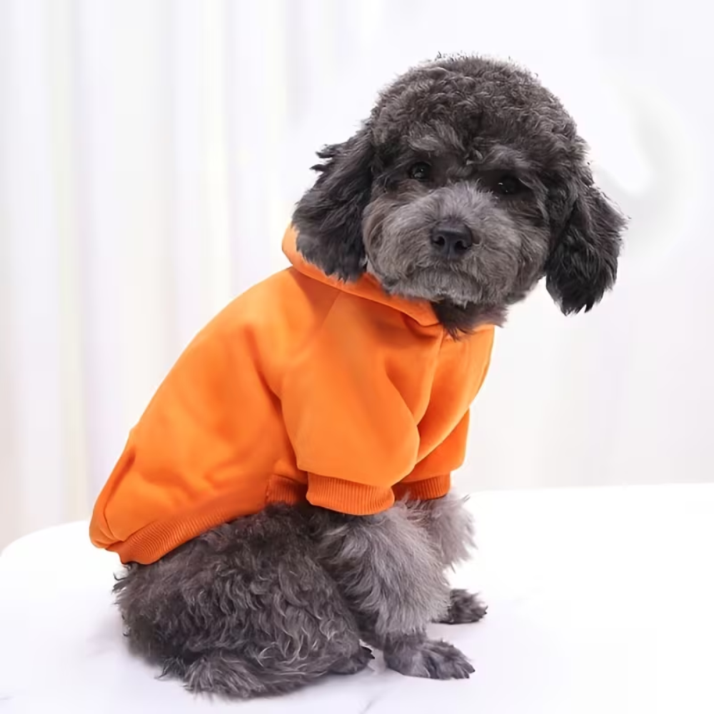 Soft Warm Dog Sweater for Small And Toy Breeds Winter KnitSoft Pullover Dog Sweater With Thick Knit Fabric For Winters - Image 6