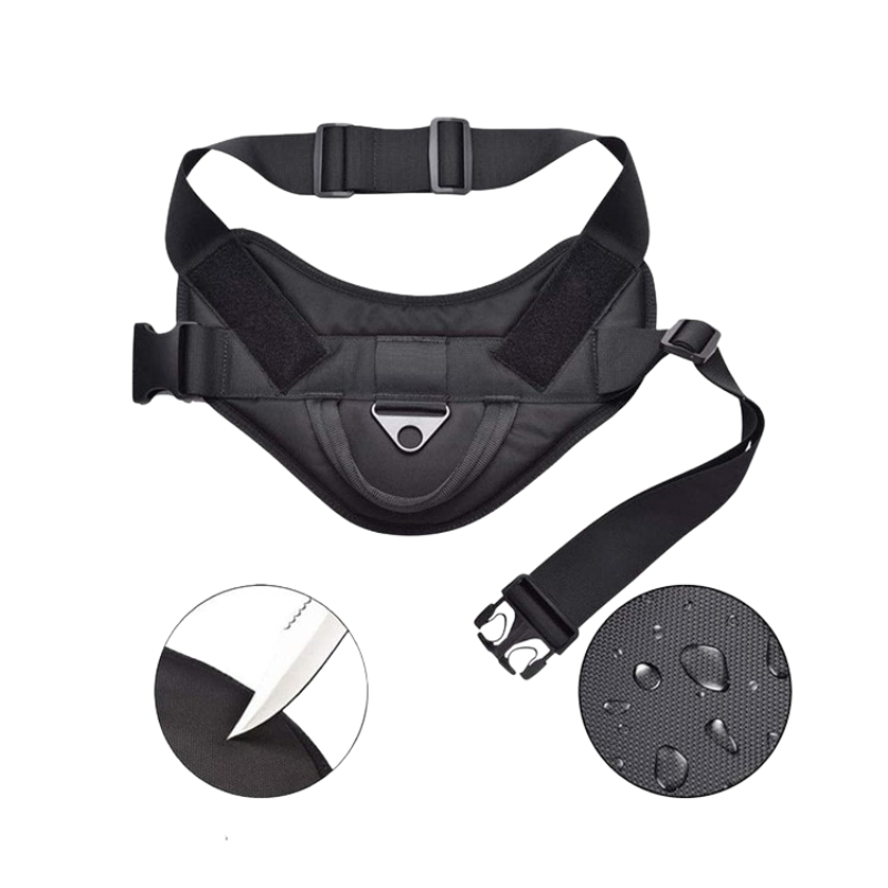 No-pull Dog Harness for S to L Dogs with Adjustable and Breathable Nylon Soft Durable Comfortable Pet Collar — in use