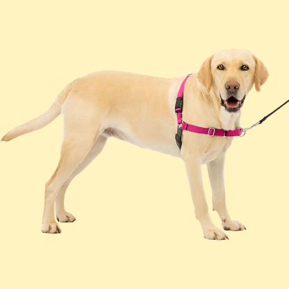 Easy Walk Dog Harness