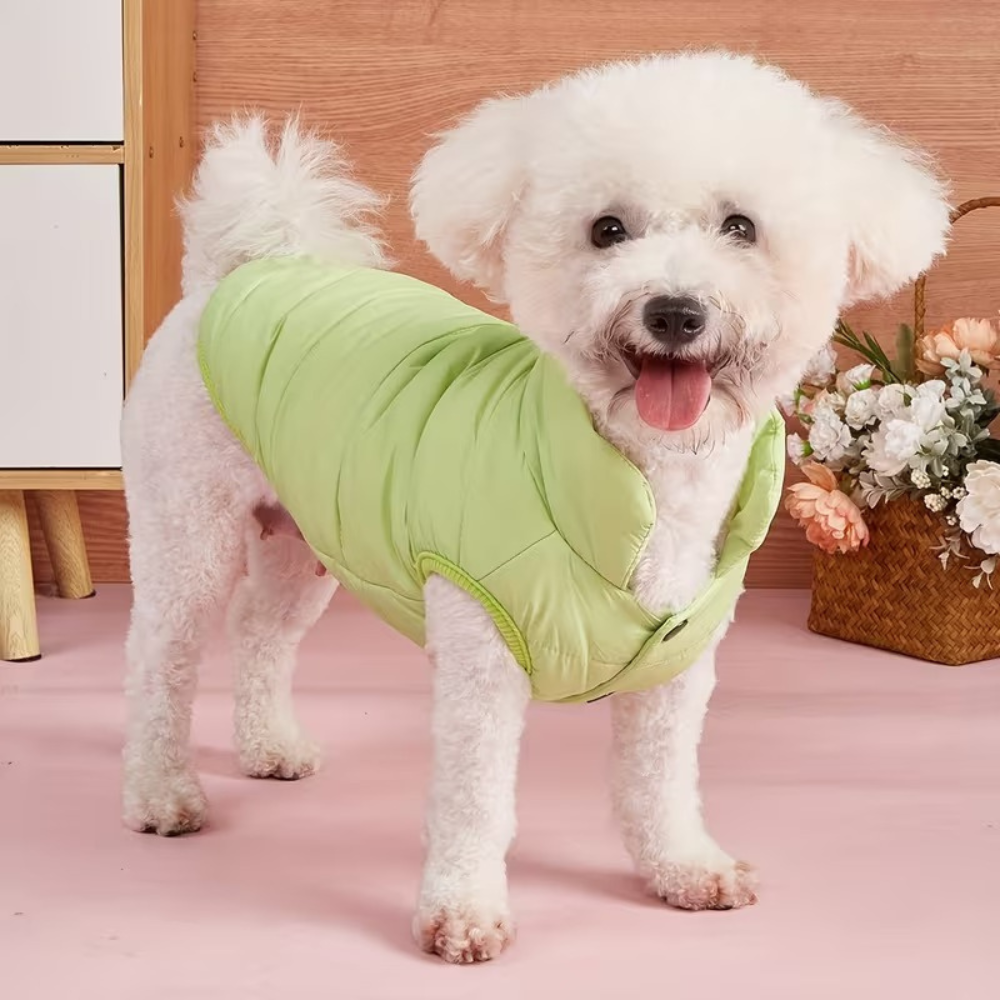 Adjustable Warm Coat With Thick Pad For DogsAdjustable Warm Coat With Thick Pad For Dogs - Image 8