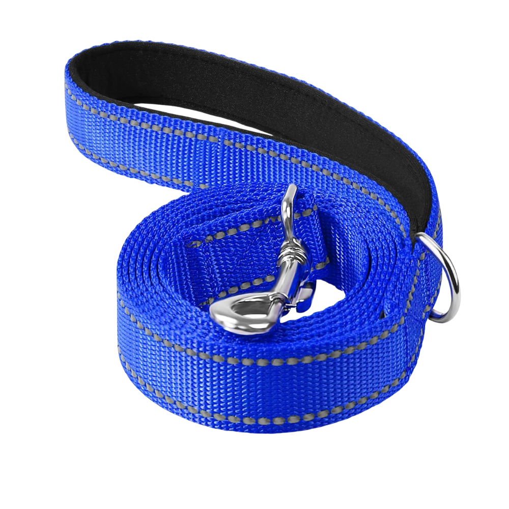 Narrow Double Sided Reflective Dog Leash