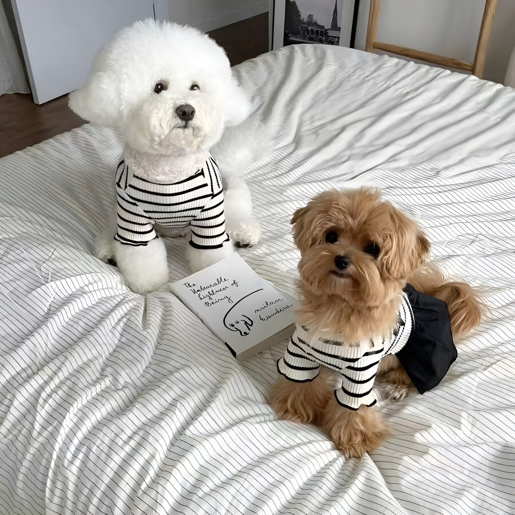 Striped Pet Dress With Bow For Small Dogs Summer Outfit