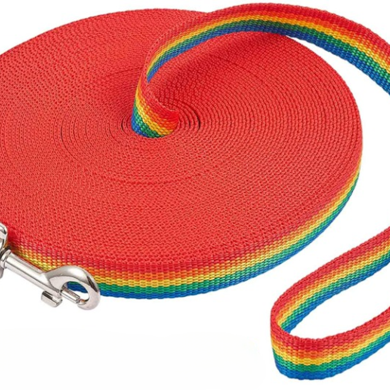 Puppy Obedience Recall Training Long Leash-For DogPuppy Obedience Recall Training Long Leash-For Dog - Image 7