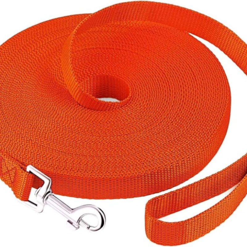 Puppy Obedience Recall Training Long Leash-For Dog