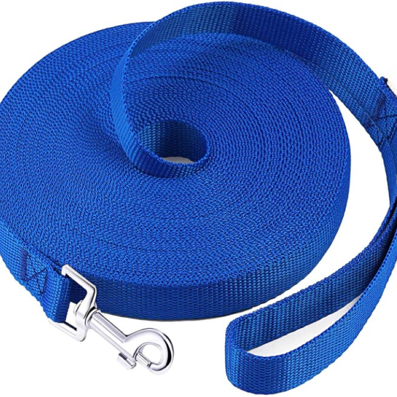 Puppy Obedience Recall Training Long Leash-For Dog