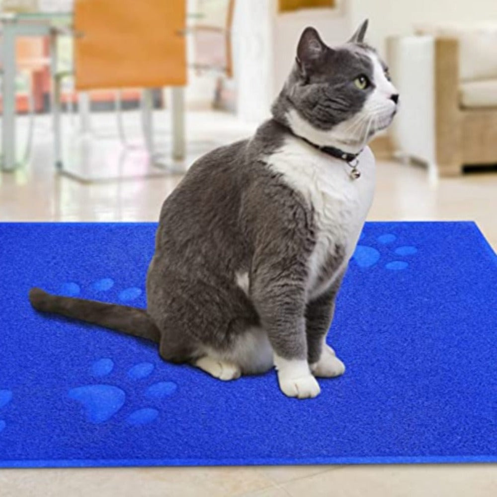 Indoor Cat Litter MatIndoor Cat Litter Mat - Image 15