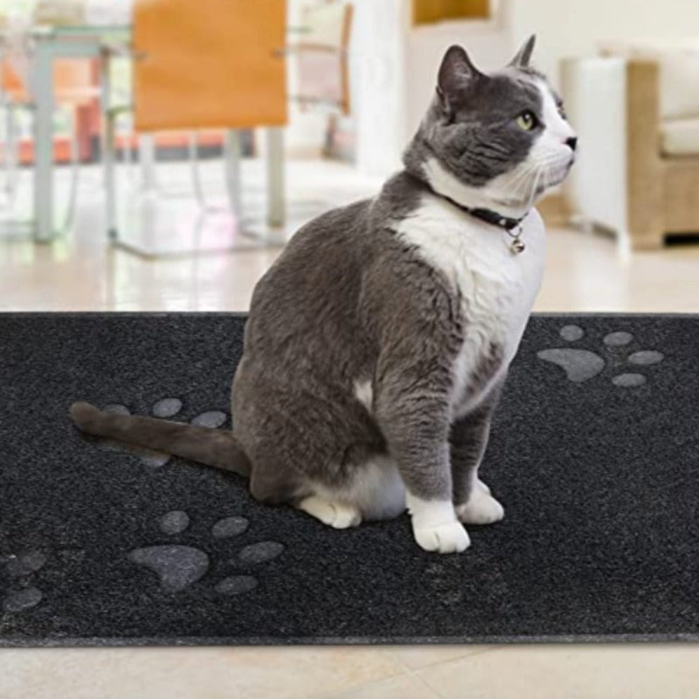 Indoor Cat Litter MatIndoor Cat Litter Mat - Image 13