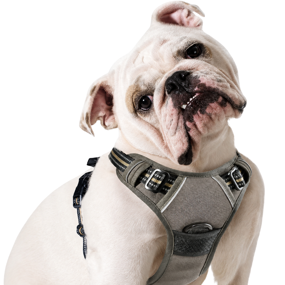 Reflective Safety Dog Harness for XL Dogs with Adjustable and Breathable