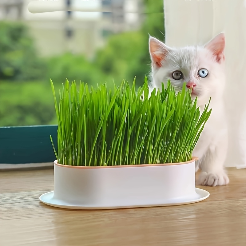 Hydroponic Cat Grass Growing Pot With Drainage Tray